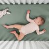 imageComfy Cubs Muslin Bassinet Sheet  100 Soft Cotton Fabric Breathable ampamp Gentle for Babys Sensitive Skin  Universal Fit with Secure Elastic Edging GiftReady Packaging  BlushFern