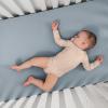 imageComfy Cubs Muslin Bassinet Sheet  100 Soft Cotton Fabric Breathable ampamp Gentle for Babys Sensitive Skin  Universal Fit with Secure Elastic Edging GiftReady Packaging  BlushPacific Blue