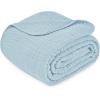 imageComfy Cubs Muslin Blanket for Adults Queen 90quot x 90quot  6 Layer Soft Breathable ampamp Lightweight Muslin Adult Blanket  Machine Washable ampamp Designed in The US Bedding for All Seasons  SandSky Blue