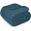 imageComfy Cubs Muslin Blanket for Adults Queen 90quot x 90quot  6 Layer Soft Breathable ampamp Lightweight Muslin Adult Blanket  Machine Washable ampamp Designed in The US Bedding for All Seasons  SandNeptune
