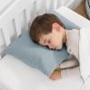 imageComfy Cubs Toddler Pillow with Muslin Pillowcase 13 x 18 in  Travel and Sleep Support for Kids  Lightweight Breathable Microfiber Fill  Soft and Cozy Small Pillow for Toddlers  SagePacific Blue