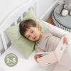 imageComfy Cubs Toddler Pillow with Muslin Pillowcase 13 x 18 in  Travel and Sleep Support for Kids  Lightweight Breathable Microfiber Fill  Soft and Cozy Small Pillow for Toddlers  SageSage