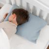 imageComfy Cubs Toddler Pillow with Muslin Pillowcase 13 x 18 in  Travel and Sleep Support for Kids  Lightweight Breathable Microfiber Fill  Soft and Cozy Small Pillow for Toddlers  SagePacific Blue