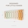 imageComfy Cubs Xylophone for Kids  Early Childhood Development Musical Toys for 3 Years Old and Above  Colorful Kids Musical Instruments NonToxic Durable Percussion Instrument for Toddler Learning
